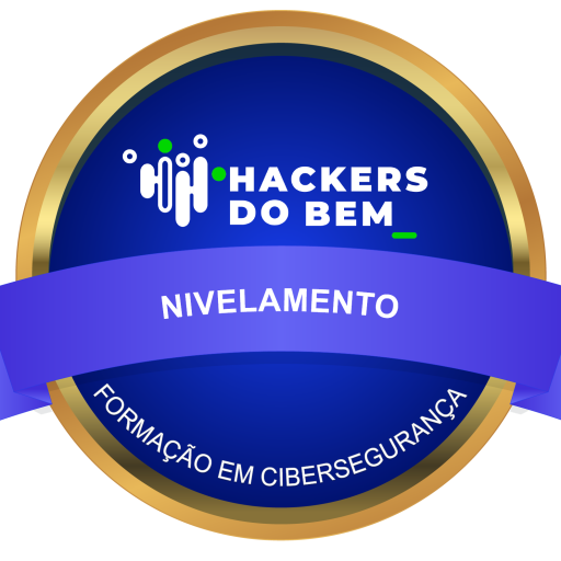 Emblema de cibersegurança nível nivelamento